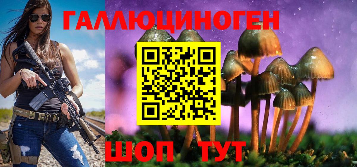 Галлюциногенные грибы Psilocybine cubensis  Вход с VPN  Галлюциногенные грибы GOLDEN TEACHER  Ленинск-Кузнецкий 