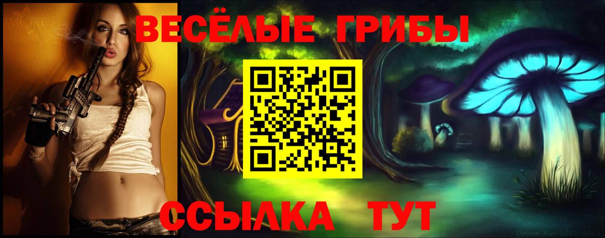Галлюциногенные грибы ЛСД Ленинск-Кузнецкий